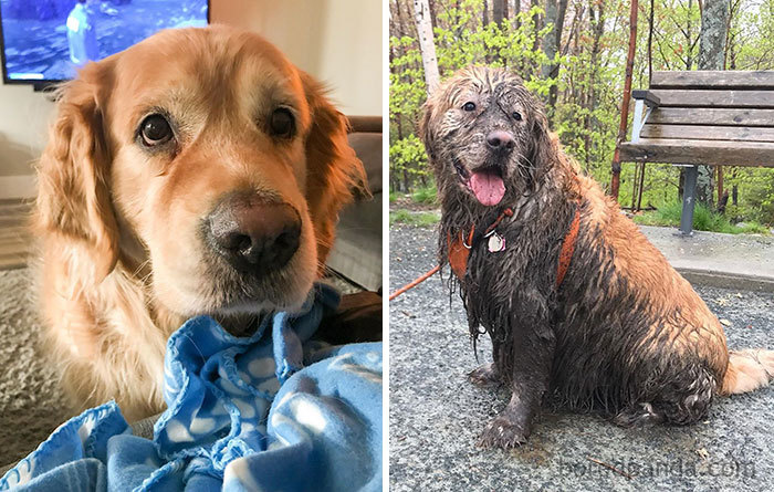 Someone Had A Good Day Today