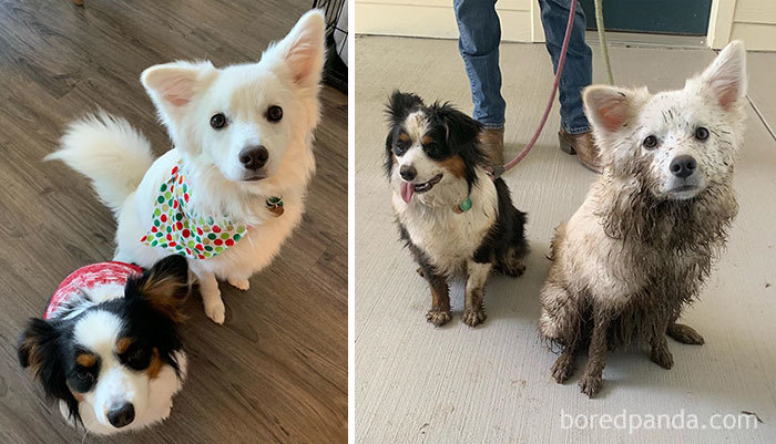 This Is What I Opened My Door To