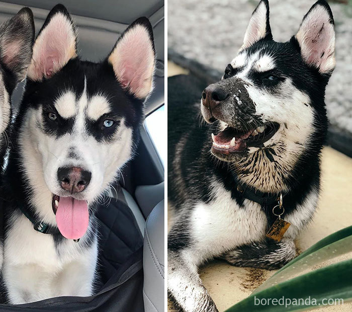 Mud Mask For The Beauty