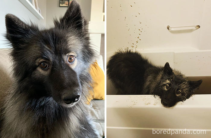 We Had A Really Big Snowfall But I Still Know How To Find The Mud