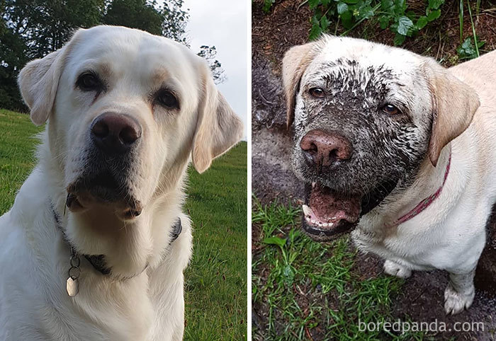 The Best Part Is That Smile