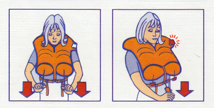This Suggestive Entry In A Fight Safety Card...