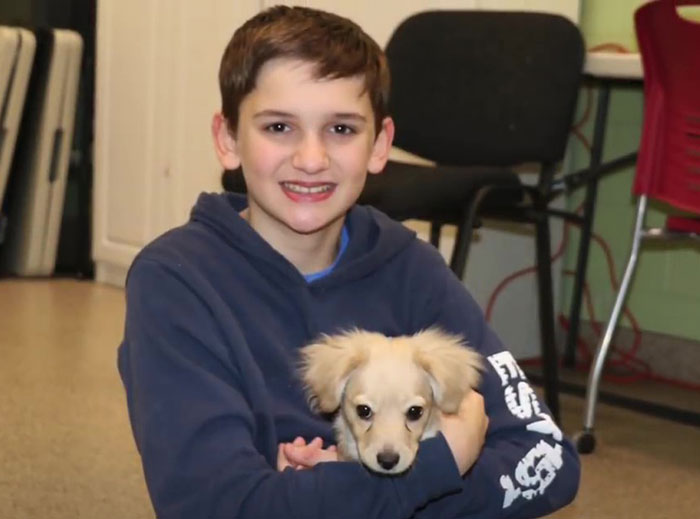 This Unwanted Puppy Gets Another Chance At A Happy Life With A LEGO Wheelchair Made By 12 Y.O.