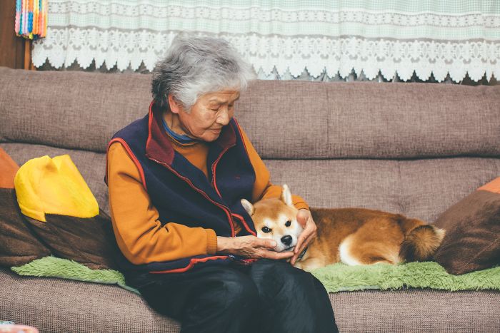 Grandmother-Dog-Shiba-Inu-Photos-Yasuto