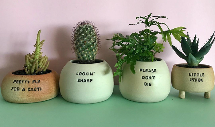 I Make Ceramic Planters With Sassy Botanical Puns (18 Pics)
