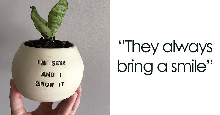 I Make Ceramic Planters With Sassy Botanical Puns (18 Pics)