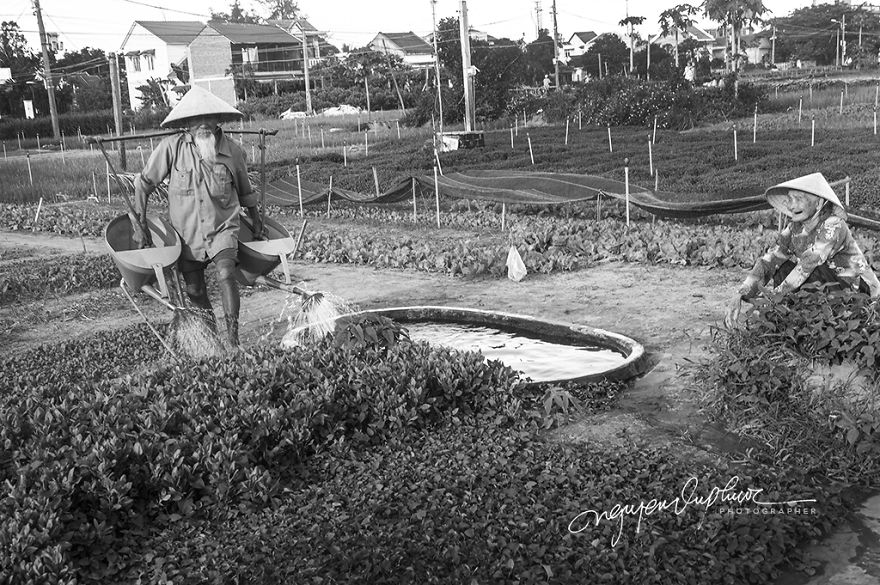 I Photographed The Love Story Of An Old Vietnamese Couple That Has Been Together Since The 30s (15 Pics) I Photographed The Love Story Of An Old Vietnamese Couple That Has Been Together Since The 30s (15 Pics)