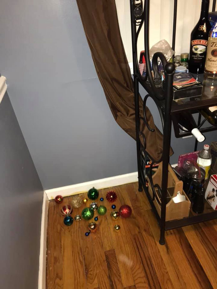 Man Puts Up 'Home Alone' Inspired Traps As Christmas Decorations Man Puts Up 'Home Alone' Inspired Traps As Christmas Decorations