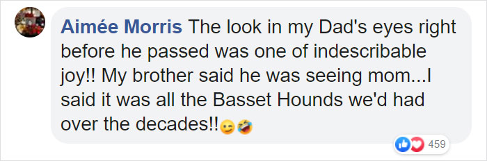 Hospice Nurse Shares A Story Of How A Dying Man Saw His Dogs And People Appear In The Room