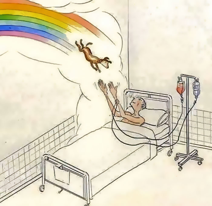 Hospice Nurse Shares A Story Of How A Dying Man Saw His Dogs And People Appear In The Room Hospice Nurse Shares A Story Of How A Dying Man Saw His Dogs And People Appear In The Room