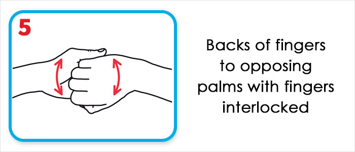 This Is How The World Health Organization Claims We Should Wash Our Hands