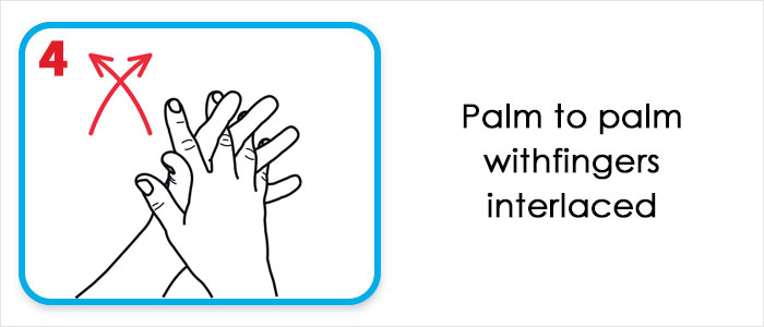 This Is How The World Health Organization Claims We Should Wash Our Hands This Is How The World Health Organization Claims We Should Wash Our Hands