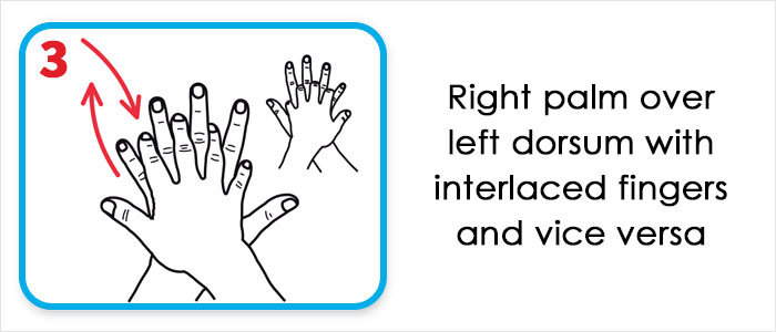 This Is How The World Health Organization Claims We Should Wash Our Hands This Is How The World Health Organization Claims We Should Wash Our Hands