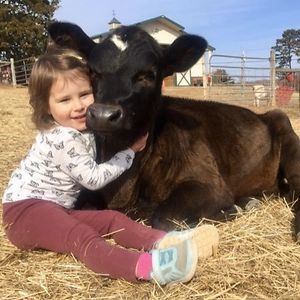 charlesebonca avatar