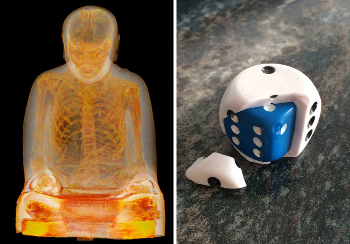 30 Personas que abrieron o rompieron cosas y se sorprendieron con lo que encontraron dentro