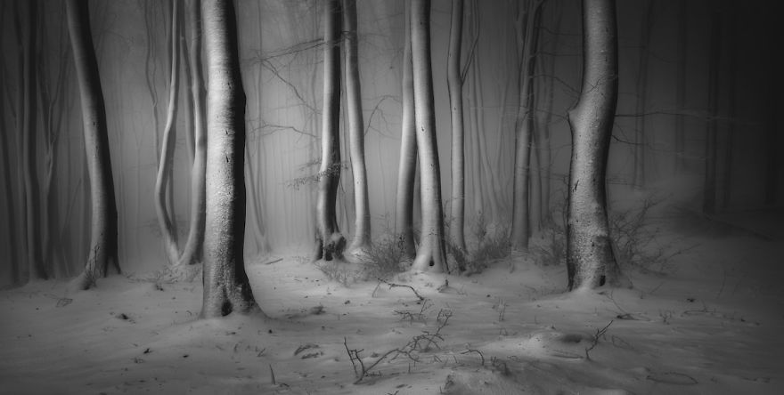 The Snow And Ice Award: Central Balkan, Bulgaria By Veselin Atanasov