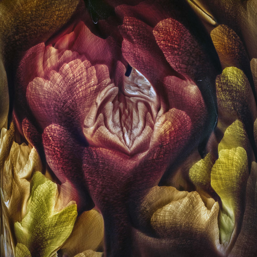 The Abstract Aerial Award: Lençóis Maranhenses, Brazil By Ignacio Palacios
