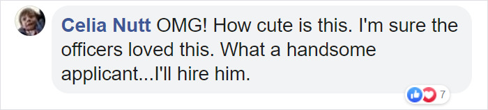 Dog Strolls Into Texan Police Station To ‘Report Himself Missing’ Dog Strolls Into Texan Police Station To ‘Report Himself Missing’