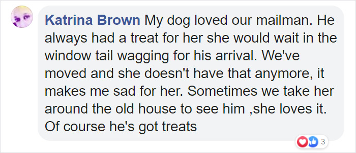Doggo Waits Every Day To Get A Hug From His Favorite Mailman