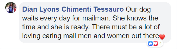 Doggo Waits Every Day To Get A Hug From His Favorite Mailman