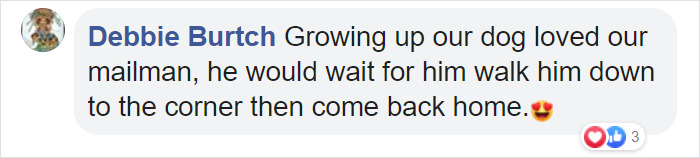 Doggo Waits Every Day To Get A Hug From His Favorite Mailman