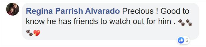 Dog Strolls Into Texan Police Station To ‘Report Himself Missing’ Dog Strolls Into Texan Police Station To ‘Report Himself Missing’