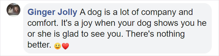 Doggo Waits Every Day To Get A Hug From His Favorite Mailman