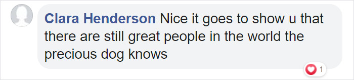 Doggo Waits Every Day To Get A Hug From His Favorite Mailman