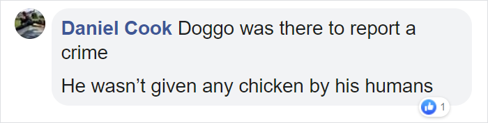 Dog Strolls Into Texan Police Station To ‘Report Himself Missing’ Dog Strolls Into Texan Police Station To ‘Report Himself Missing’