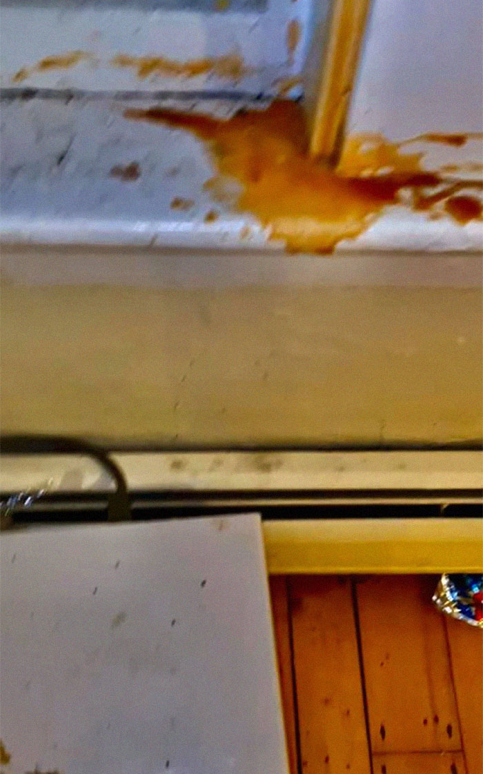 People Wonder Why Rents And Security Deposits Are So High, So This Landlord Shares Some Pics People Wonder Why Rents And Security Deposits Are So High, So This Landlord Shares Some Pics