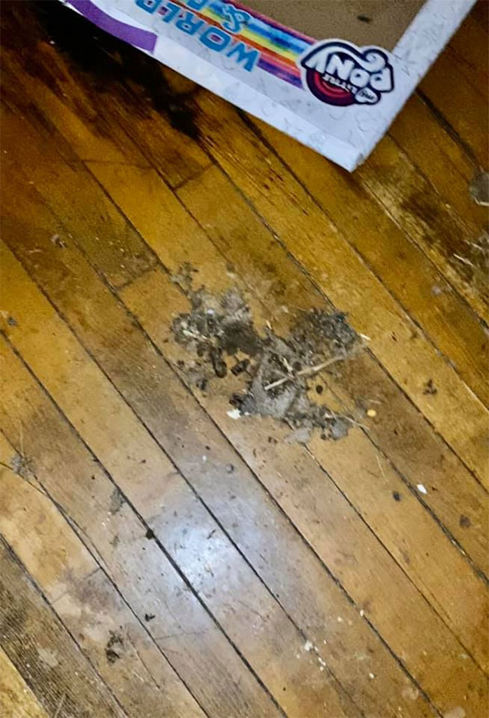 People Wonder Why Rents And Security Deposits Are So High, So This Landlord Shares Some Pics