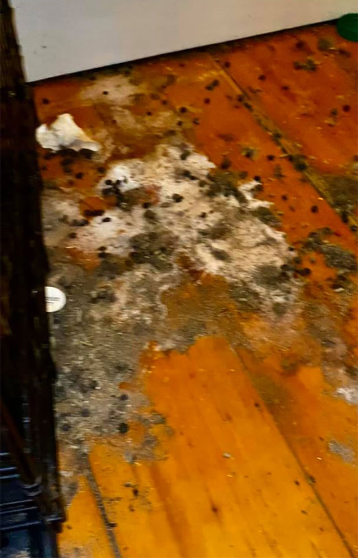 People Wonder Why Rents And Security Deposits Are So High, So This Landlord Shares Some Pics