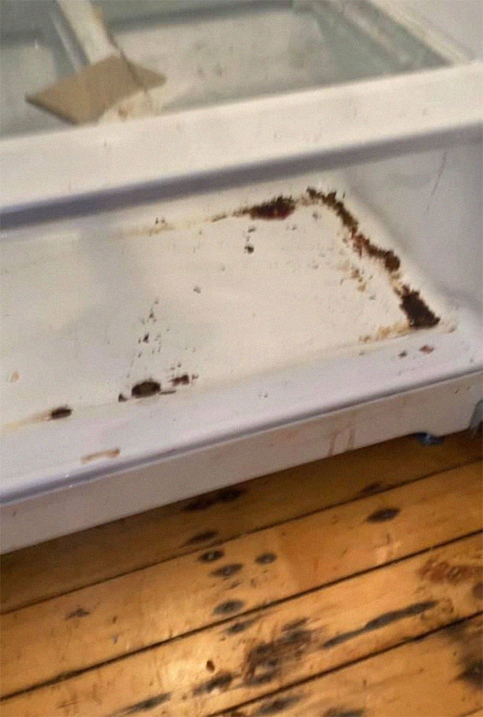 People Wonder Why Rents And Security Deposits Are So High, So This Landlord Shares Some Pics People Wonder Why Rents And Security Deposits Are So High, So This Landlord Shares Some Pics