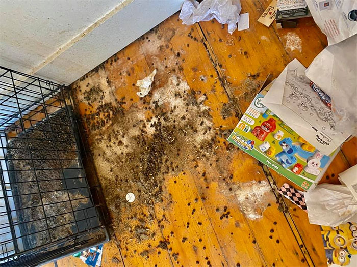 People Wonder Why Rents And Security Deposits Are So High, So This Landlord Shares Some Pics