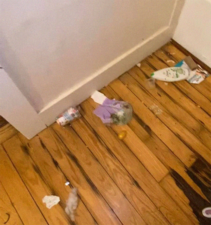 People Wonder Why Rents And Security Deposits Are So High, So This Landlord Shares Some Pics