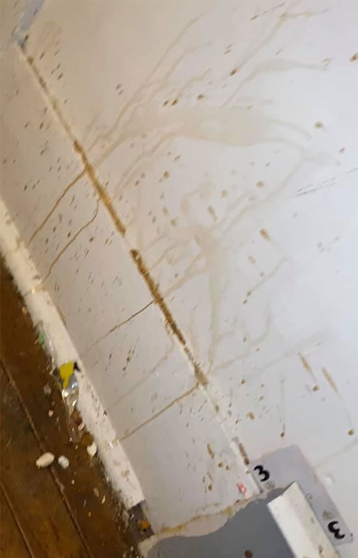 People Wonder Why Rents And Security Deposits Are So High, So This Landlord Shares Some Pics