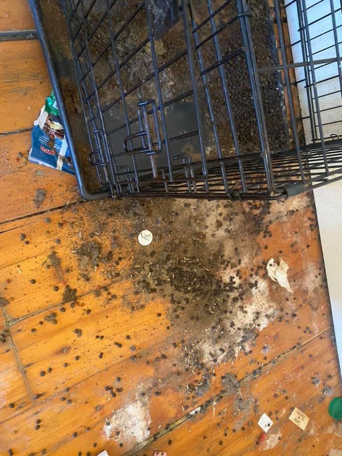 People Wonder Why Rents And Security Deposits Are So High, So This Landlord Shares Some Pics