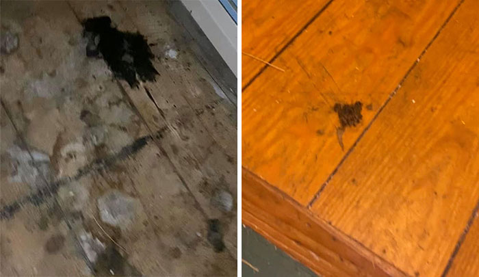 People Wonder Why Rents And Security Deposits Are So High, So This Landlord Shares Some Pics