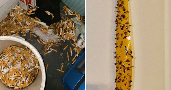 People Wonder Why Rents And Security Deposits Are So High, So This Landlord Shares Some Pics