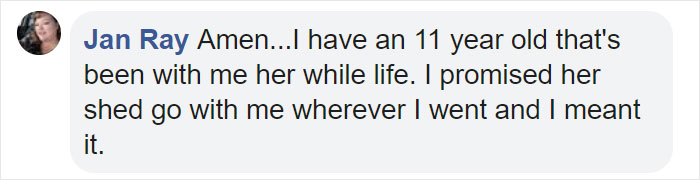 Before Getting A Dog, Make Sure You Read This Guy's Honest Post About The Struggles Of Owning One Before Getting A Dog, Make Sure You Read This Guy's Honest Post About The Struggles Of Owning One