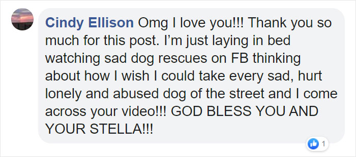 Before Getting A Dog, Make Sure You Read This Guy's Honest Post About The Struggles Of Owning One Before Getting A Dog, Make Sure You Read This Guy's Honest Post About The Struggles Of Owning One
