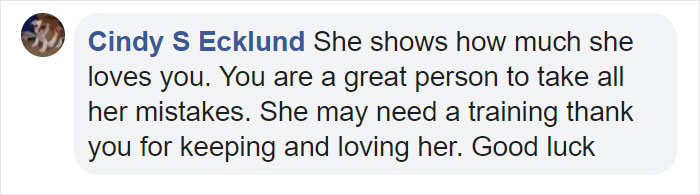 Before Getting A Dog, Make Sure You Read This Guy's Honest Post About The Struggles Of Owning One Before Getting A Dog, Make Sure You Read This Guy's Honest Post About The Struggles Of Owning One
