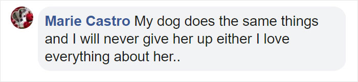 Before Getting A Dog, Make Sure You Read This Guy's Honest Post About The Struggles Of Owning One