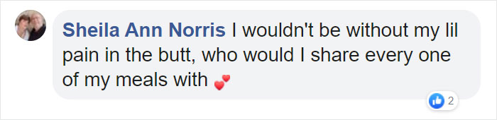 Before Getting A Dog, Make Sure You Read This Guy's Honest Post About The Struggles Of Owning One Before Getting A Dog, Make Sure You Read This Guy's Honest Post About The Struggles Of Owning One