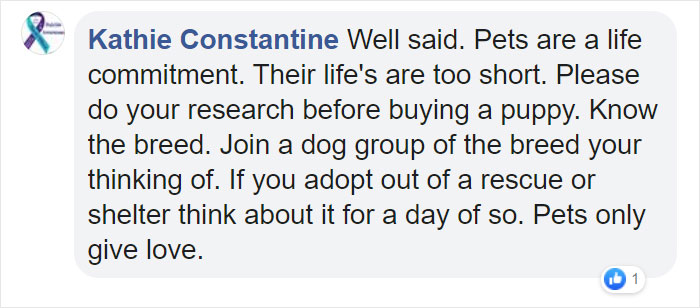 Before Getting A Dog, Make Sure You Read This Guy's Honest Post About The Struggles Of Owning One