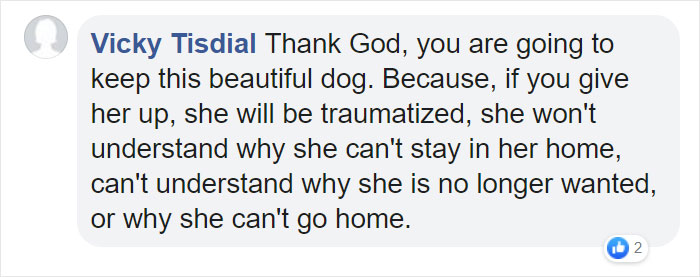 Before Getting A Dog, Make Sure You Read This Guy's Honest Post About The Struggles Of Owning One