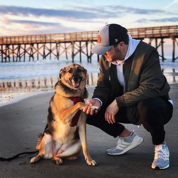 Before Getting A Dog, Make Sure You Read This Guy's Honest Post About The Struggles Of Owning One Before Getting A Dog, Make Sure You Read This Guy's Honest Post About The Struggles Of Owning One