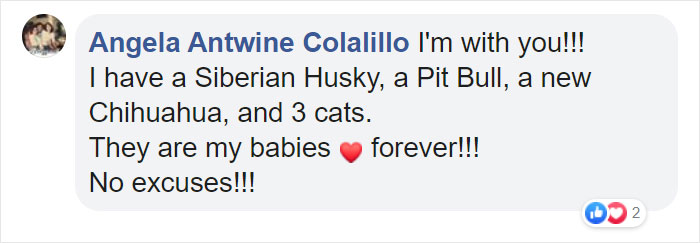 Before Getting A Dog, Make Sure You Read This Guy's Honest Post About The Struggles Of Owning One