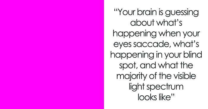 Tumblr Users Freak Out That Magenta Is Not A Real Color And That Impossible Colors Exist