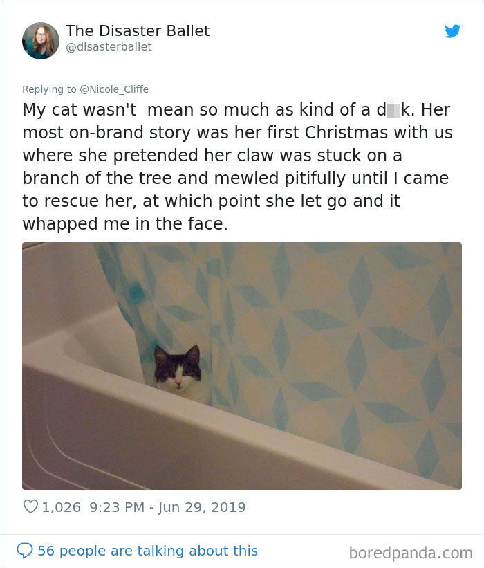 Mean-Cats-Owners-Stories